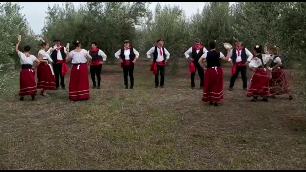  CENTO ROSE MIX (Medley Tarantella) - A. Cottini - L. Fulvi - M. Topo 
